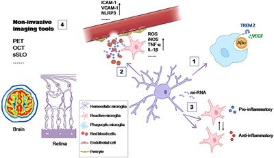 Editorial: Microglia in neurodegenerative diseases